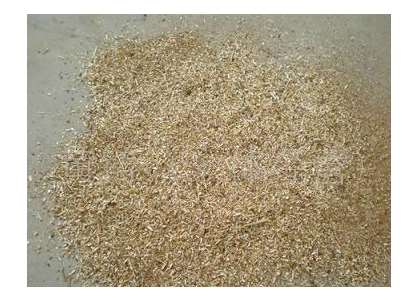 ľ�ۏS�ҁ��o����B���a���̵��OӋ