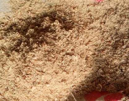 ��ľ�۵��x�Ø˜ʽ�B