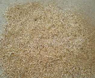 ��ľ�ۃr(ji��)������ʲô�Q����