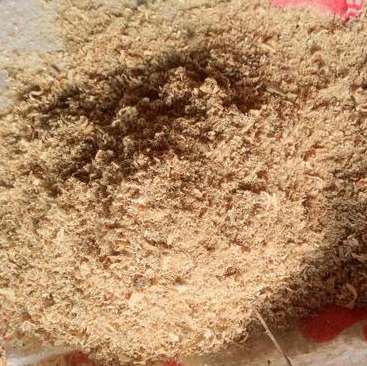 ��ľ�۵ĺ�������Ҫ��