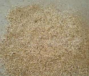 ��ľ�۵��|���Q����ʹ����r