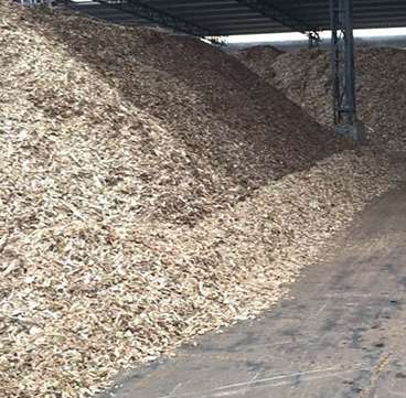 ���{ԭ���ϵķN�(l��i)����Щ