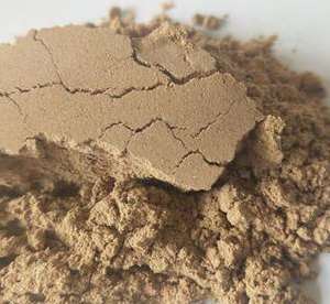 ľ�w�S�۵ļӹ���(hu��)���õ�ʲô�O(sh��)��