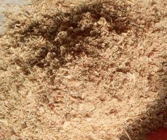 �W(xu��)����e��ľ�۵��|(zh��)��