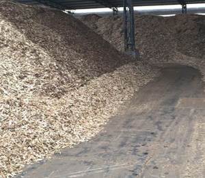 ���{ԭ���Ϲ�ˇ���̽�B